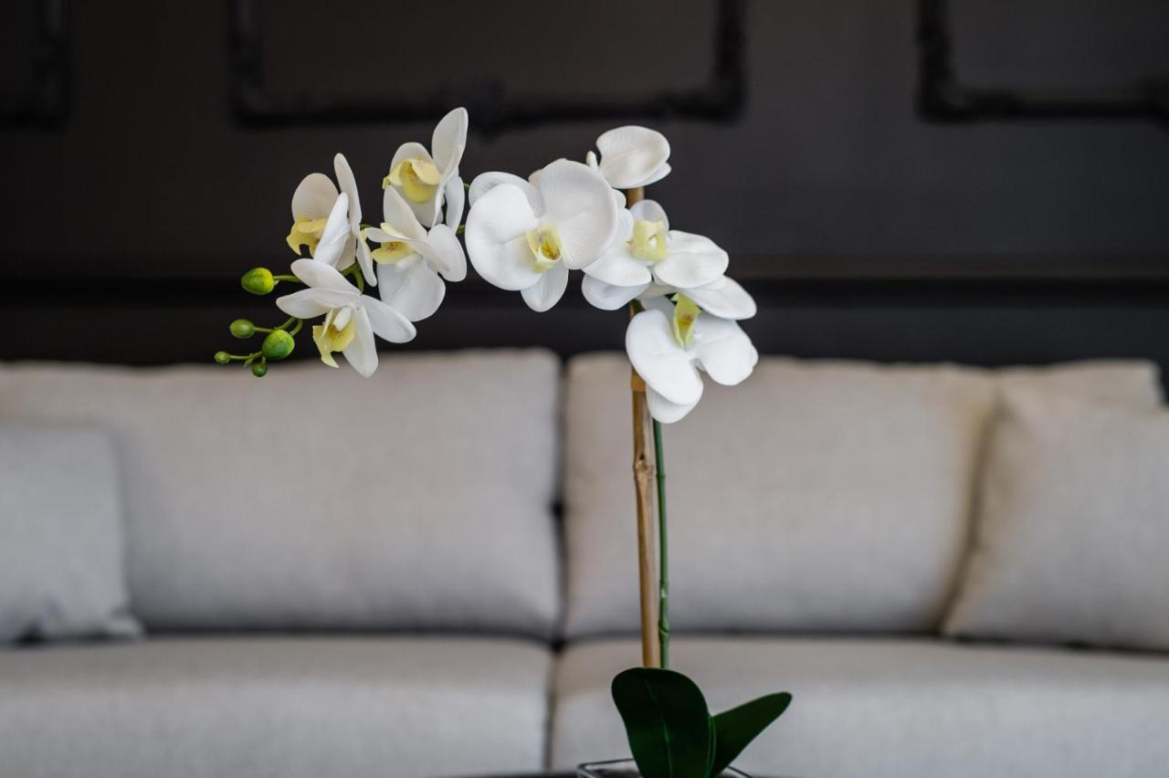 Groble Deluxe Apartments Wawelofts كراكوفيا المظهر الخارجي الصورة